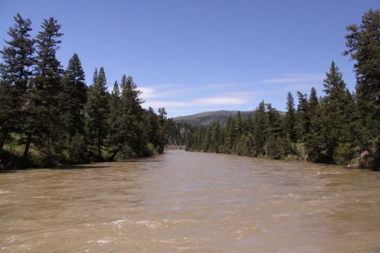 A wide, muddy river flows between dense pine forests under a clear blue sky with a few distant hills in the background.