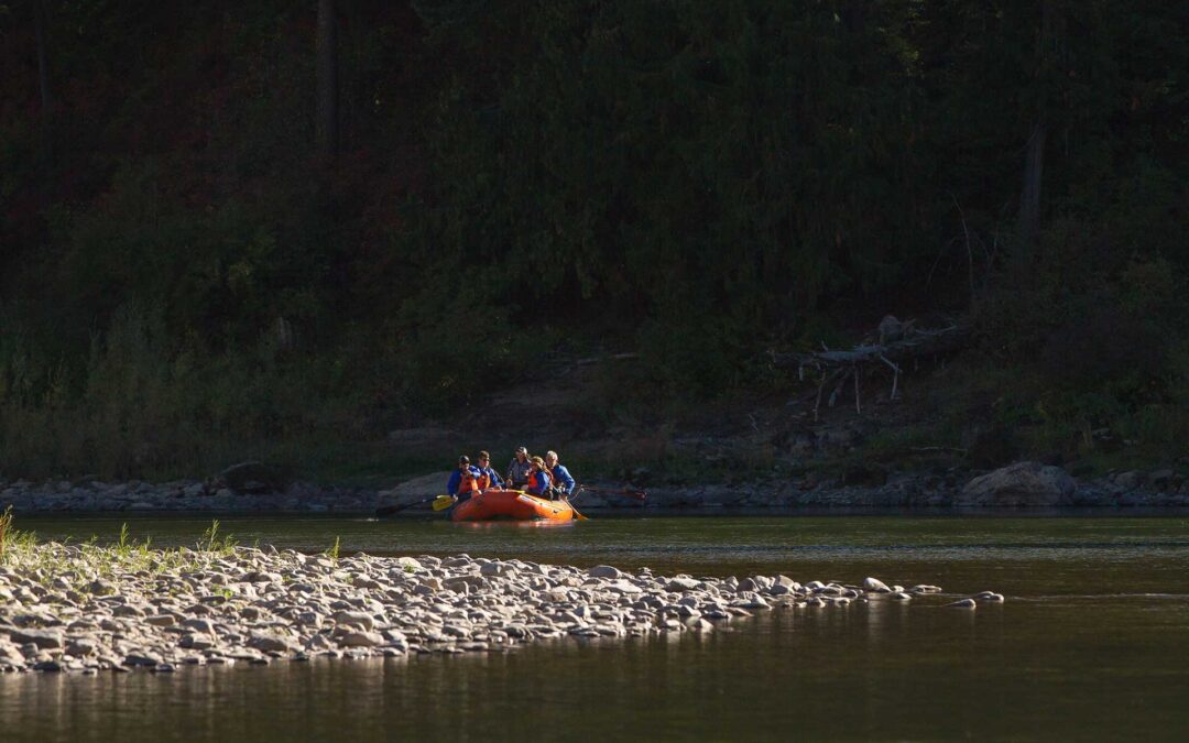 Reflections on Working for a River Company During a Pandemic
