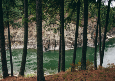 Scenic Tours - Tarkio Gorge 5