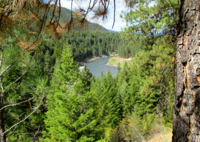 Scenic Tours - Tarkio Gorge 4