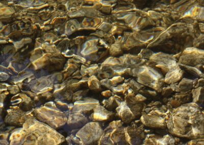 Clear water flows over smooth, multicolored rocks, with sunlight creating rippling patterns and reflections on the stones beneath the surface.