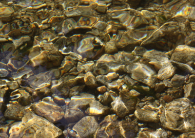 Beautiful Blackfoot River Rafting 3